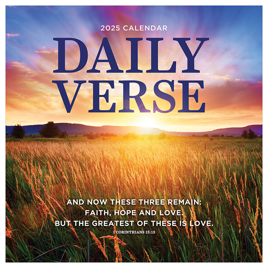 2025 Daily Wall Calendar