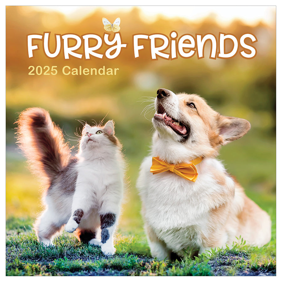 Unlikely Friendships Calendar 2025 Release Date