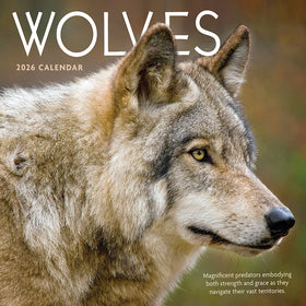 2026 Wolves Wall Calendar