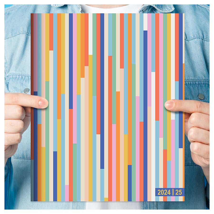 July 2024 - June 2025 So Many Stripes Large Monthly Planner