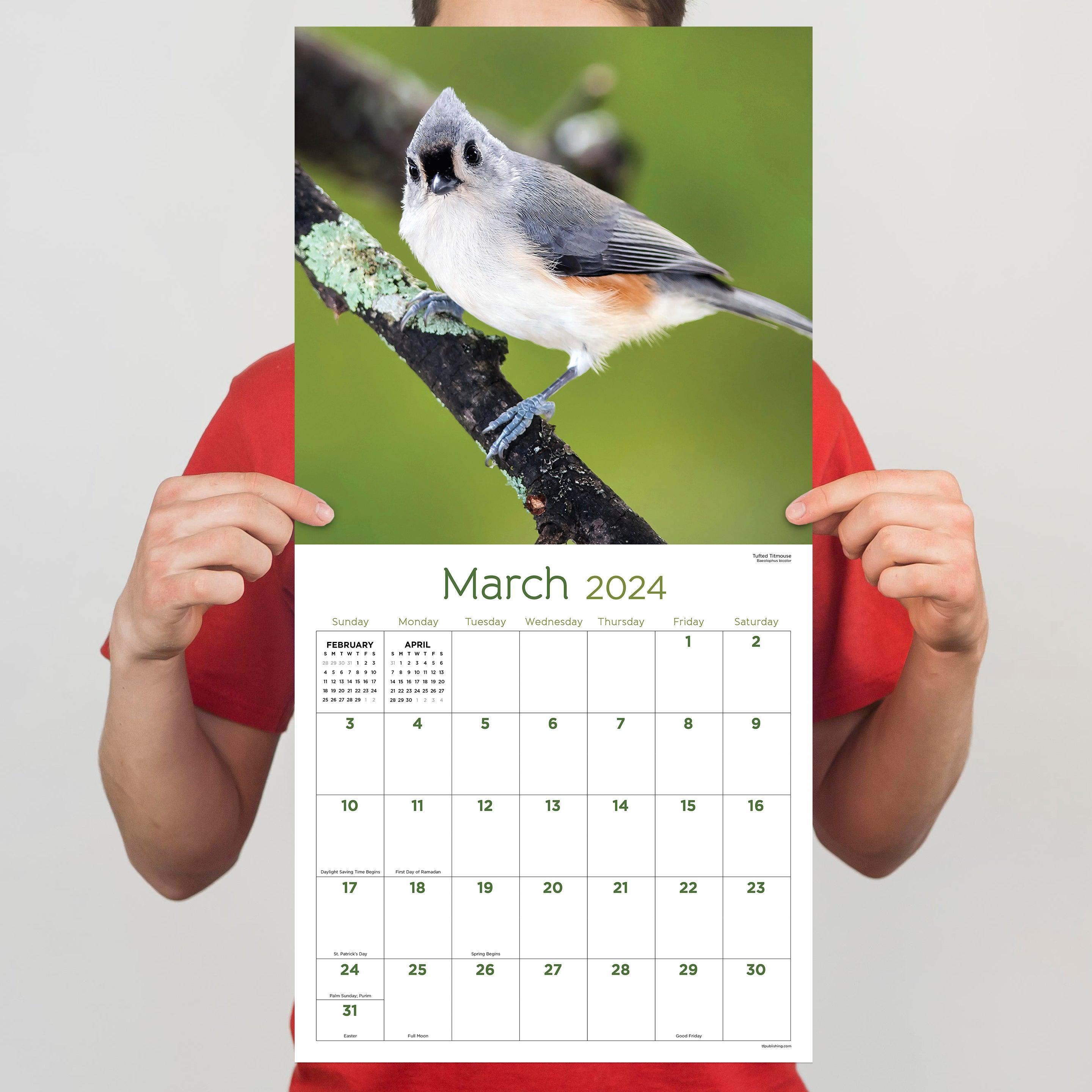 2024 Backyard Birds Wall Calendar - 0