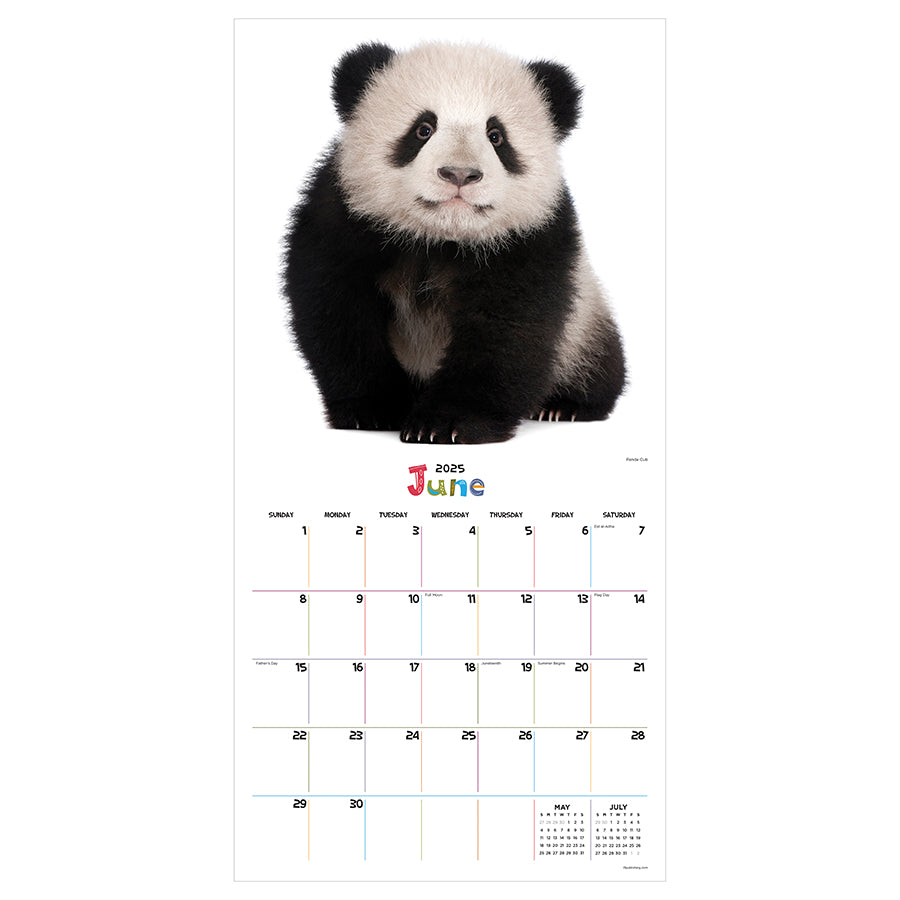 2025 Baby Animals Wall Calendar TF Publishing Calendars + Planners