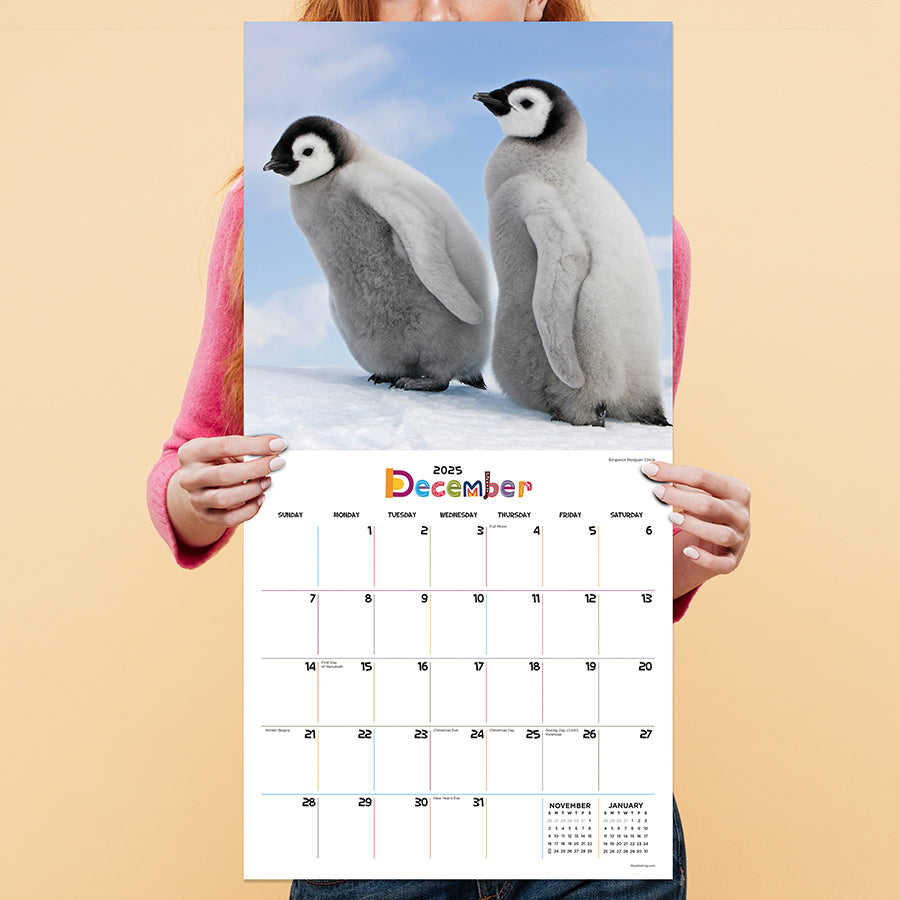 2025 Baby Animals Wall Calendar TF Publishing Calendars + Planners
