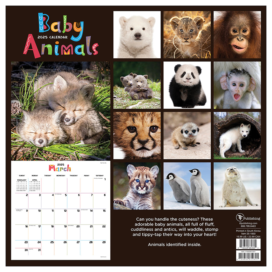 2025 Baby Animals Wall Calendar TF Publishing Calendars + Planners