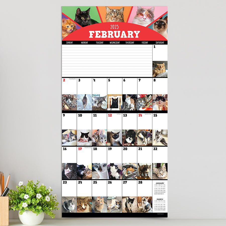 **FINAL SALE** 2025 Cat-A-Day Wall Calendar