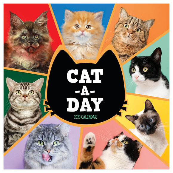 2025 CatADay Wall Calendar TF Publishing Calendars + Planners