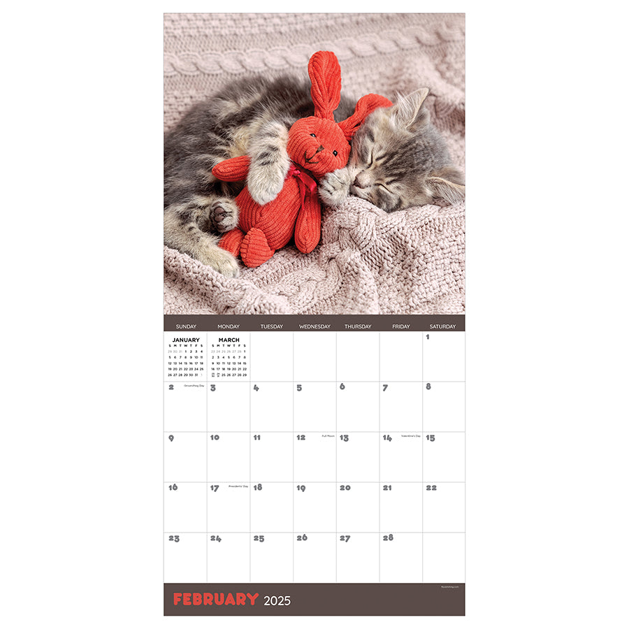 **FINAL SALE** 2025 Cat Dreams Wall Calendar