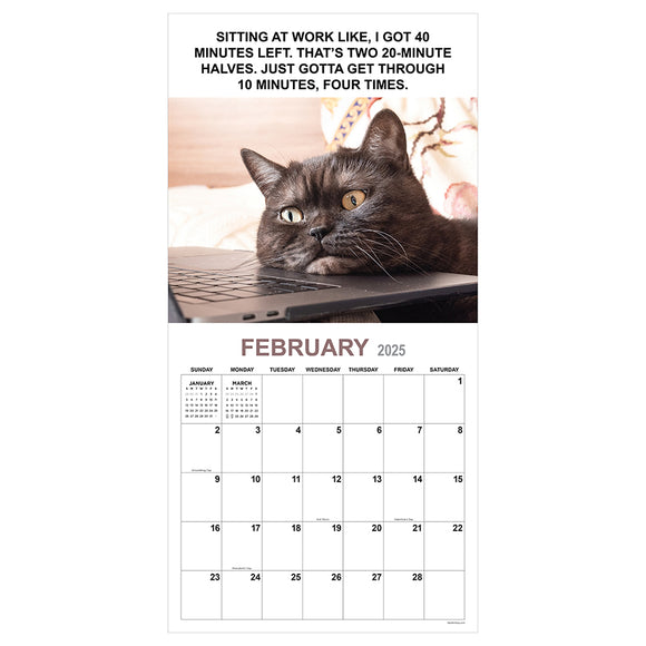 Cat Wall Calendar 2025 Pdf Lanny Modesty