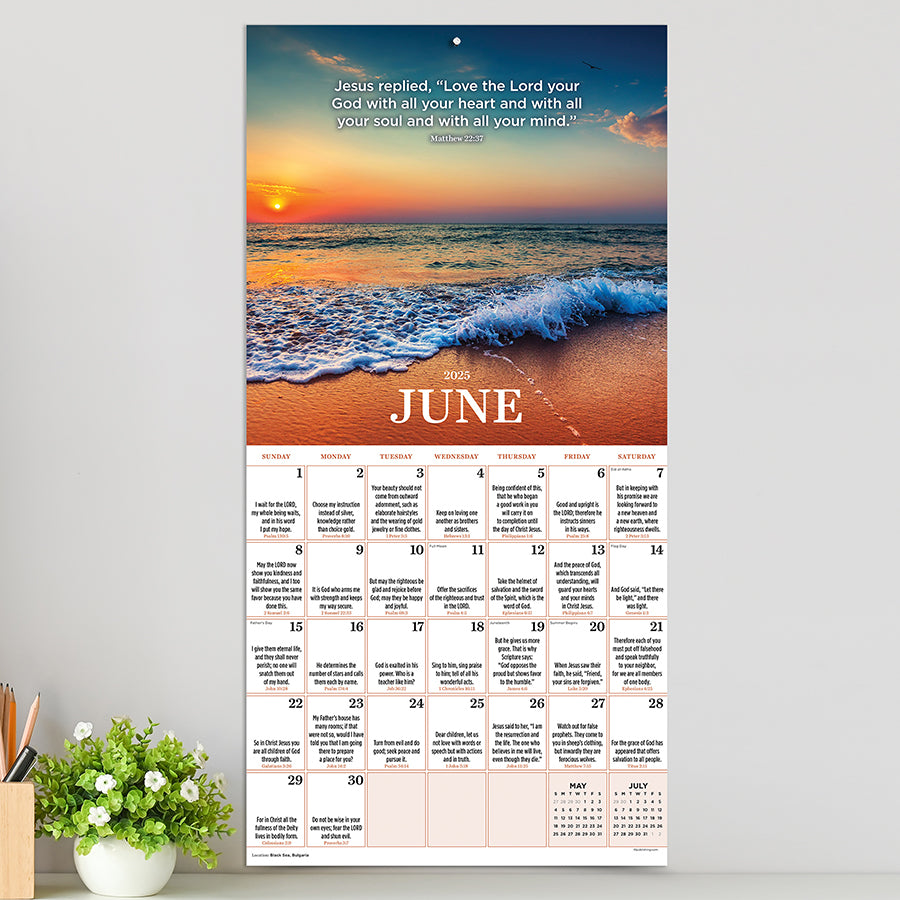 **FINAL SALE** 2025 Daily Verse Wall Calendar