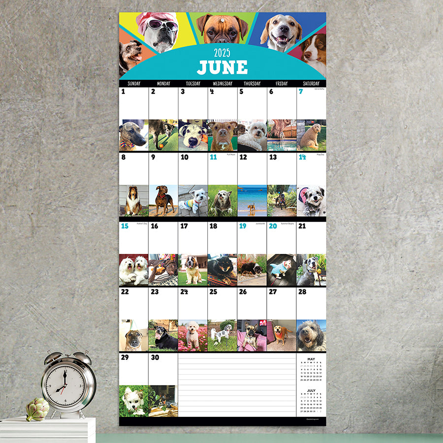 **FINAL SALE** 2025 Dog-A-Day Wall Calendar