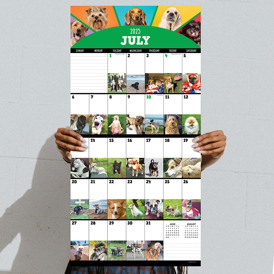 **FINAL SALE** 2025 Dog-A-Day Wall Calendar
