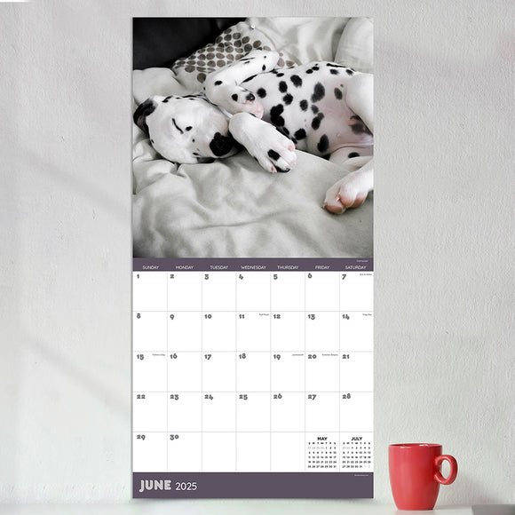 **FINAL SALE** 2025 Dog Dreams Wall Calendar TF Publishing Calendars + Planners Journals