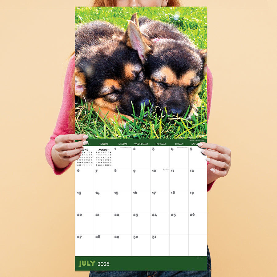 **FINAL SALE** 2025 Dog Dreams Wall Calendar TF Publishing Calendars + Planners Journals