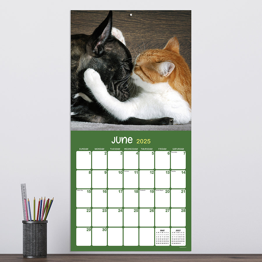 2025 Furry Friends Wall Calendar TF Publishing Calendars + Planners