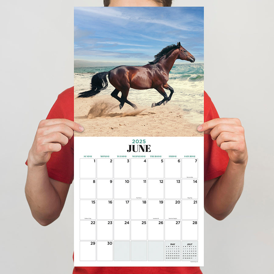 2025 Horses Wall Calendar TF Publishing Calendars + Planners