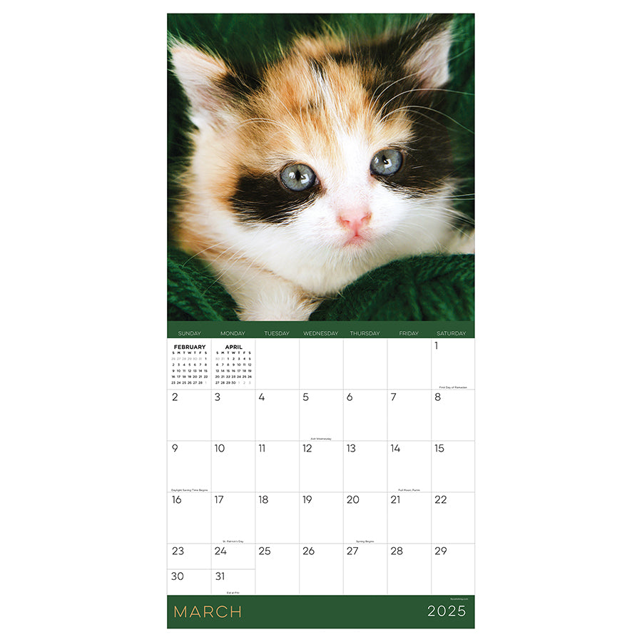 **FINAL SALE** 2025 Kittens Wall Calendar