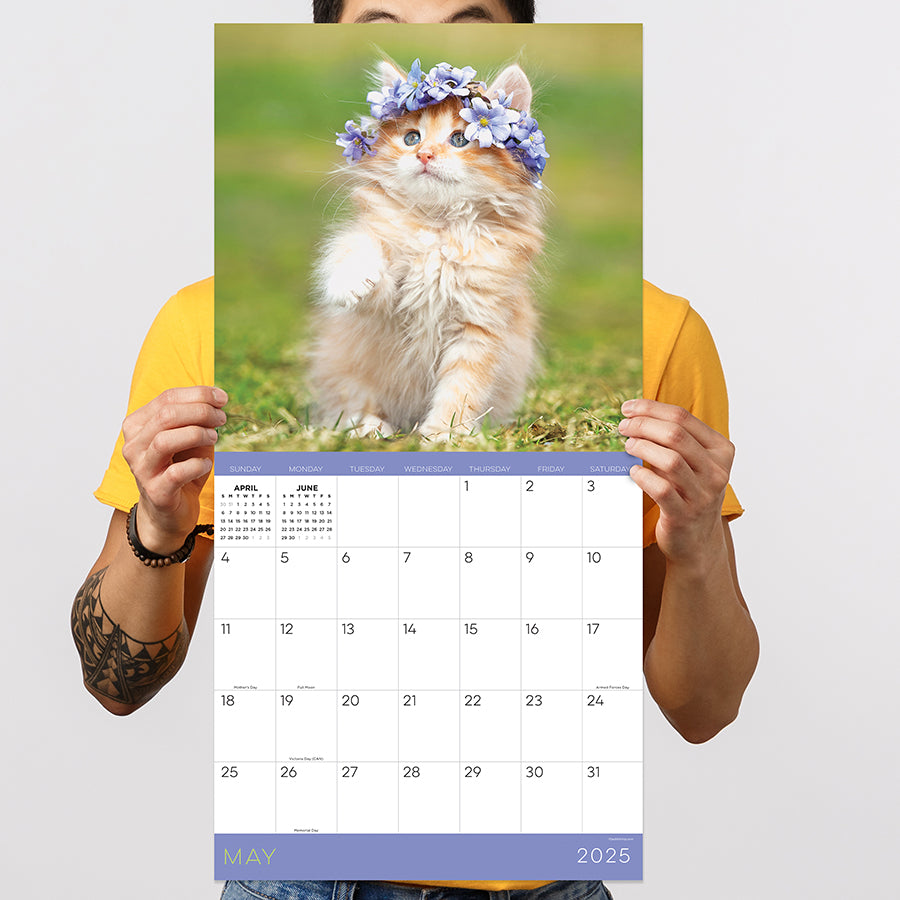2025 Kittens Wall Calendar TF Publishing Calendars + Planners
