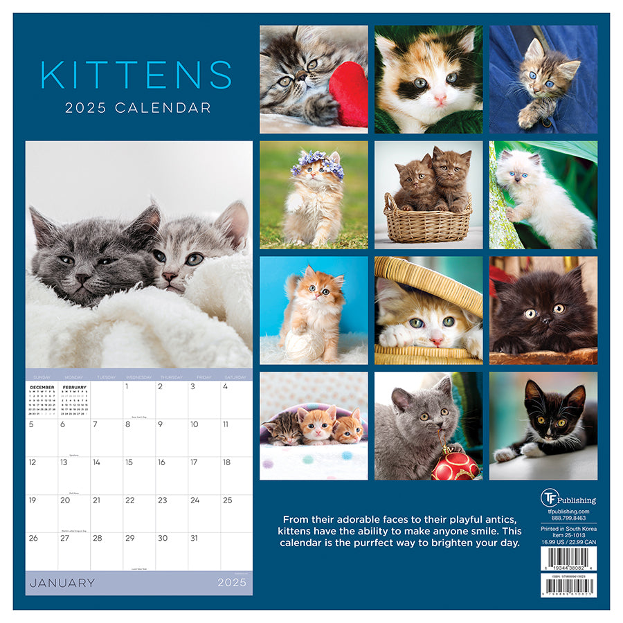Kittens Calendar 2025