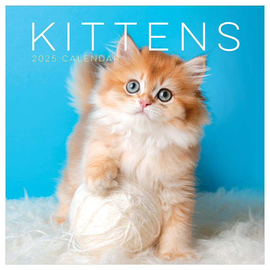**FINAL SALE** 2025 Kittens Wall Calendar