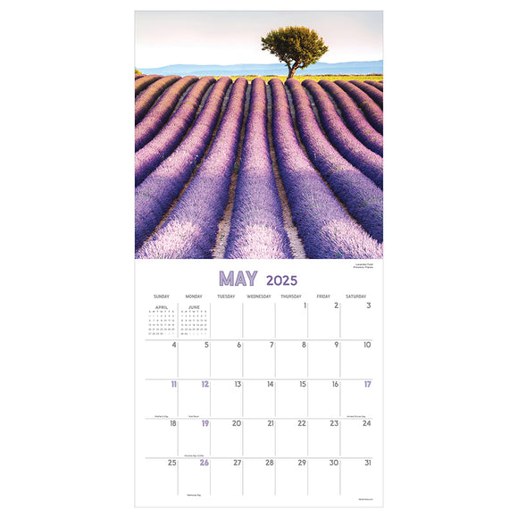 **FINAL SALE** 2025 Landscapes Wall Calendar TF Publishing