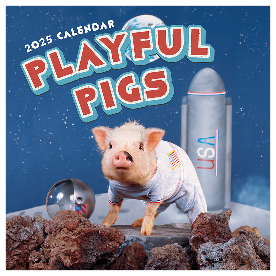 Pig Full Wall Calendar 2025