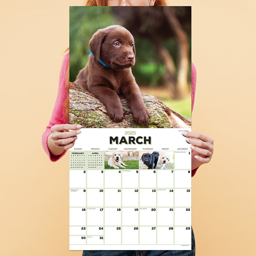 2025 Puppies Wall Calendar TF Publishing Calendars + Planners Journals + Stationery