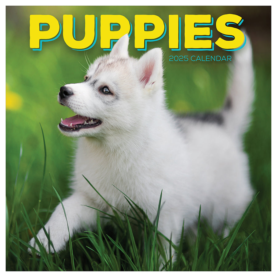 **FINAL SALE** 2025 Puppies Wall Calendar