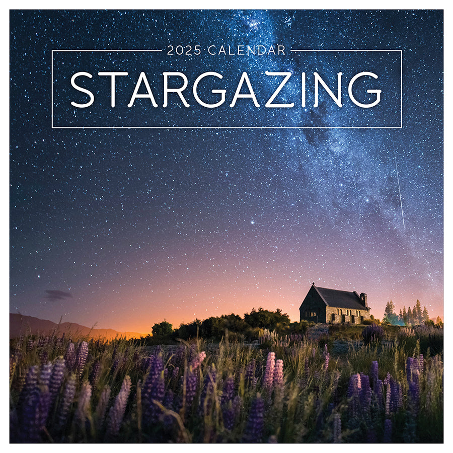 **FINAL SALE** 2025 Stargazing Wall Calendar