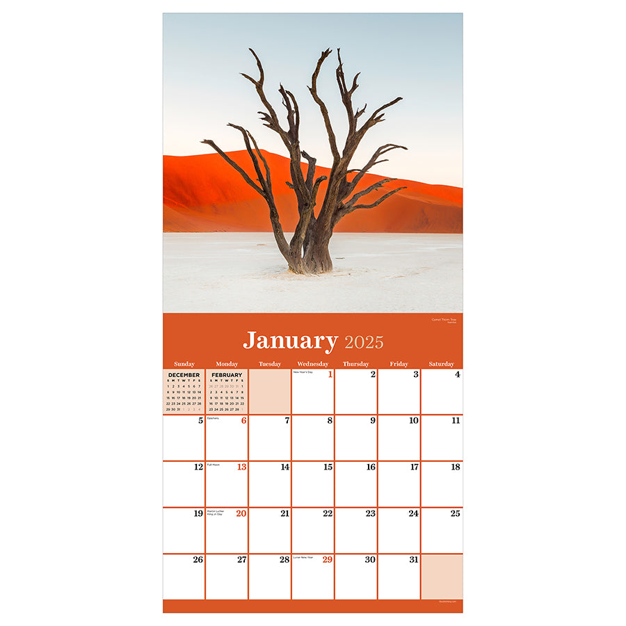 2025 Trees Wall Calendar TF Publishing Calendars + Planners
