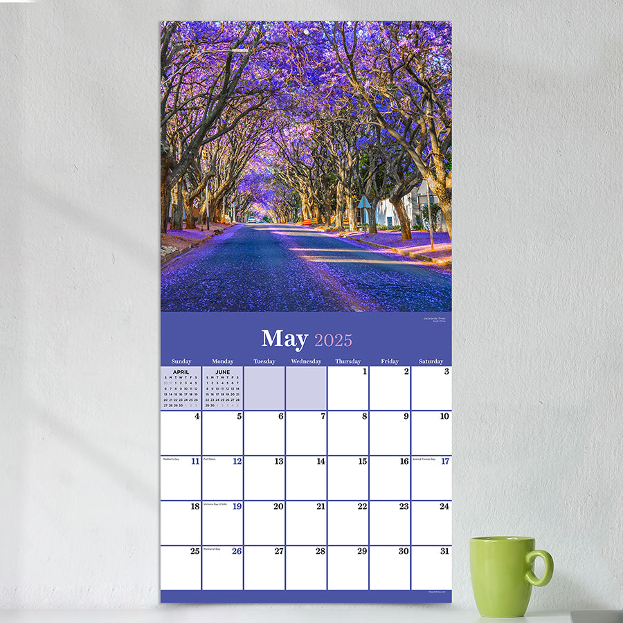2025 Trees Wall Calendar TF Publishing Calendars + Planners Trees For Life Calendar 2025 Uk