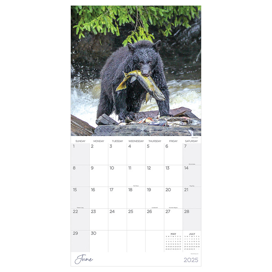 **FINAL SALE** 2025 Wild Wall Calendar - 0