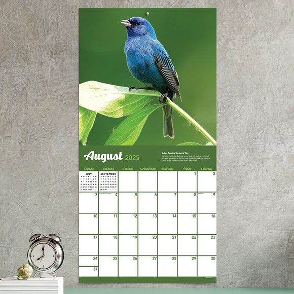 January 2025 Calendar Birds