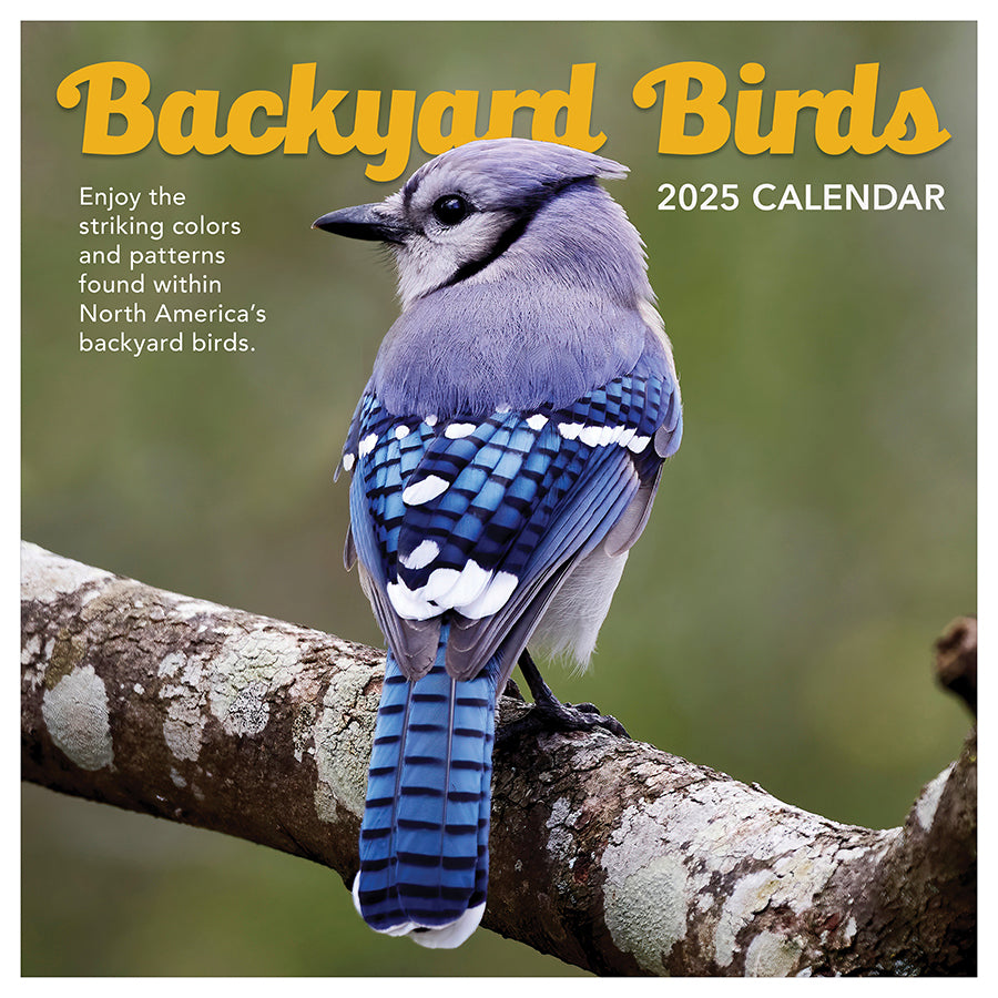 **FINAL SALE** 2025 Backyard Birds Wall Calendar