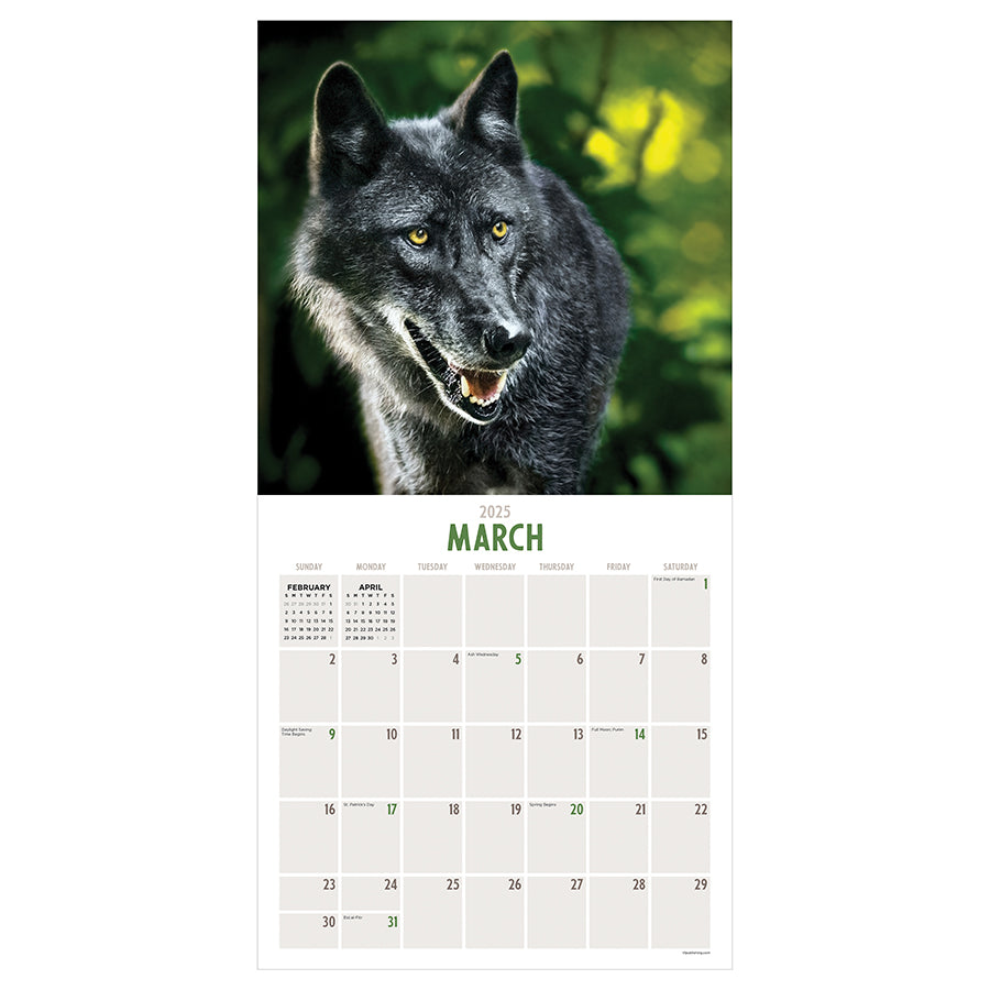 **FINAL SALE** 2025 Wolves Wall Calendar - 0