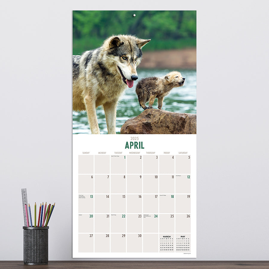 **FINAL SALE** 2025 Wolves Wall Calendar TF Publishing Calendars + Planners Journals