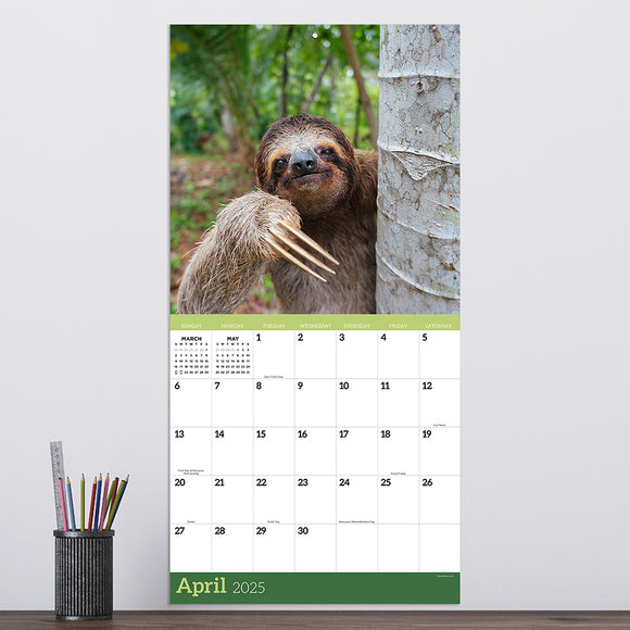 **FINAL SALE** 2025 Sloths Wall Calendar TF Publishing Calendars