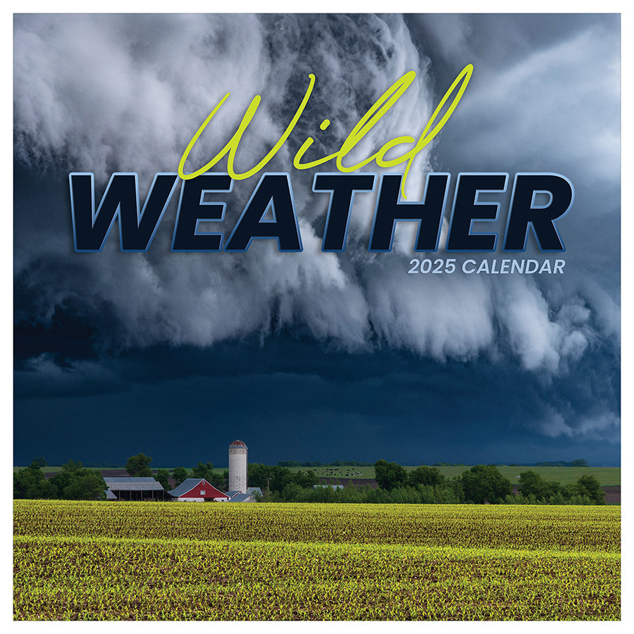 **FINAL SALE** 2025 Weather Wall Calendar