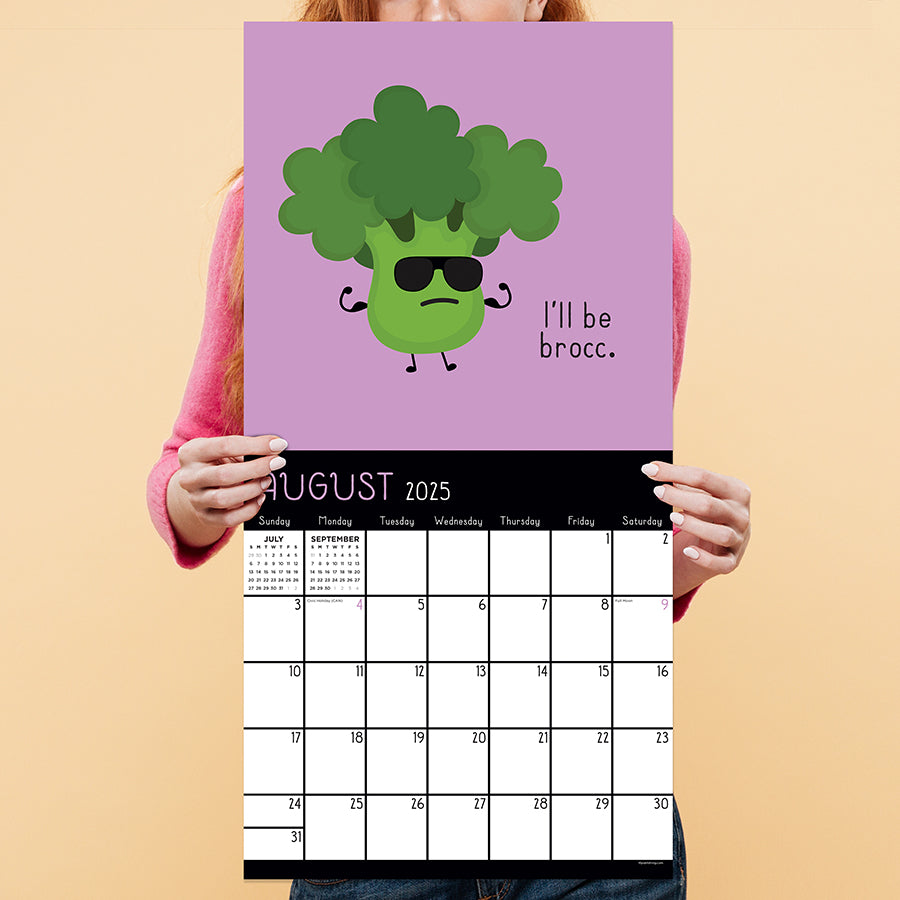 **FINAL SALE** 2025 Puns of Fun Wall Calendar TF Publishing Calendars + Planners Journals