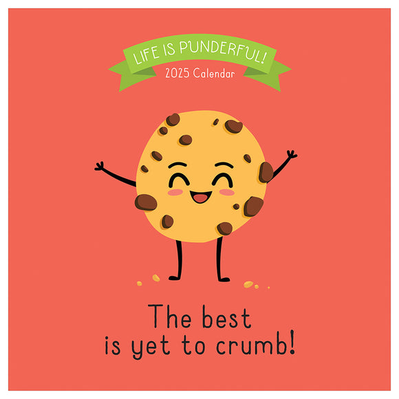 Pun Intended 2025 Box Calendar