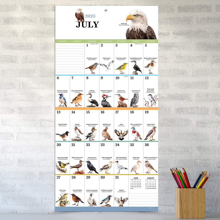**FINAL SALE** 2025 Birds: Backyard and Beyond Wall Calendar