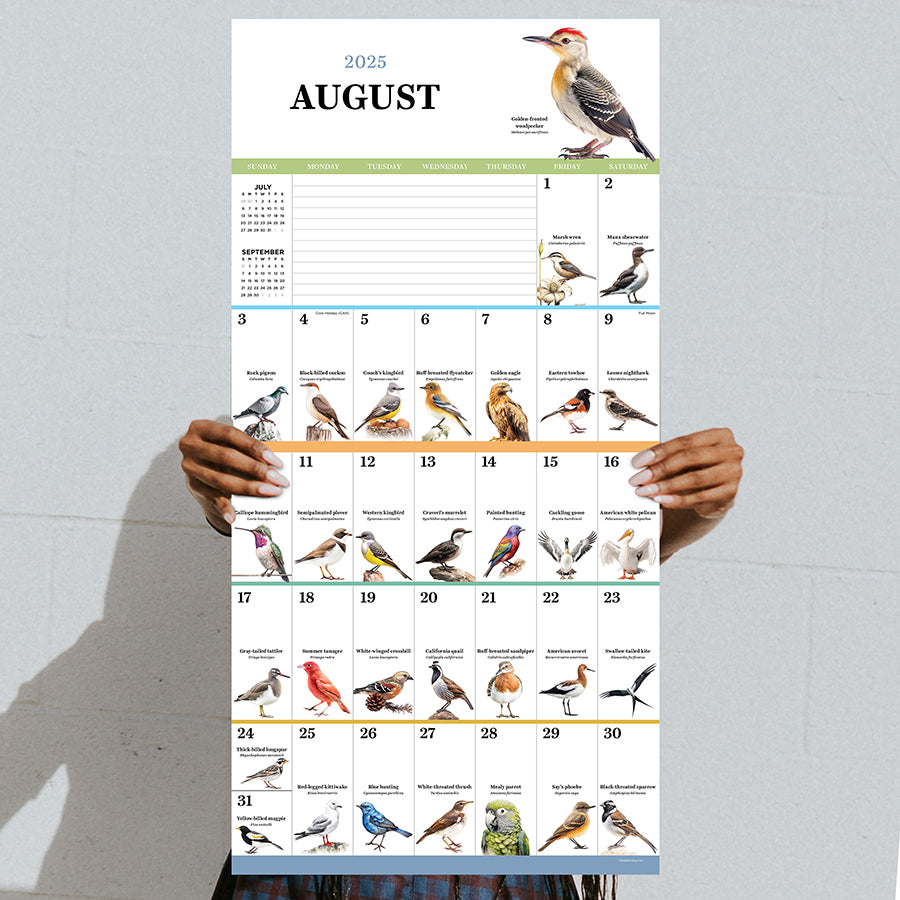 **FINAL SALE** 2025 Birds: Backyard and Beyond Wall Calendar