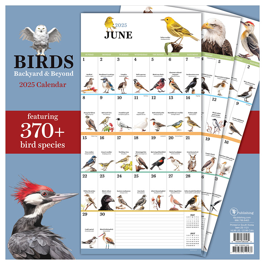 **FINAL SALE** 2025 Birds: Backyard and Beyond Wall Calendar