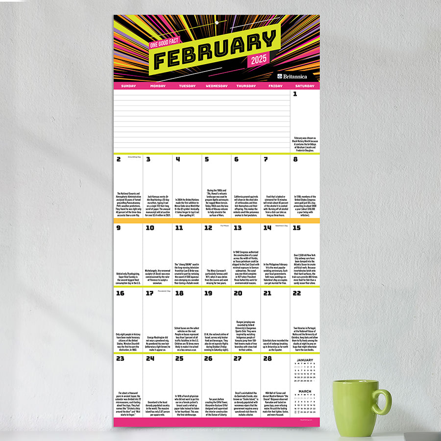 **FINAL SALE** 2025 One Good Fact Wall Calendar