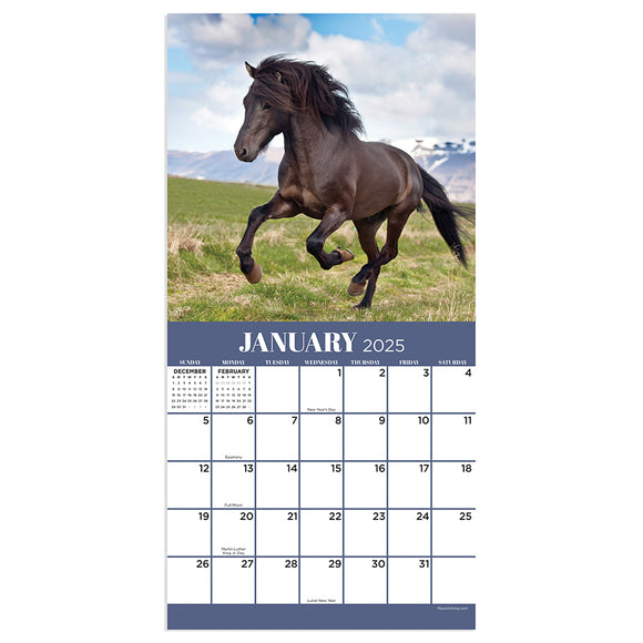2025 Horses Mini Calendar TF Publishing Calendars + Planners Horse Desk Calendar 2025