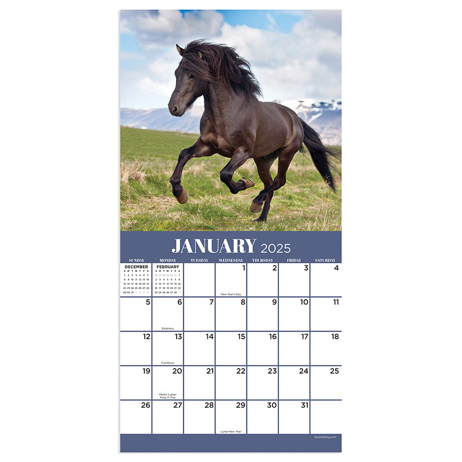 2025 Horses Mini Calendar | TF Publishing | Calendars + Planners - Journals + Stationery 2025-horses-mini-calendar-tf-publishing-calendars-planners-journals-stationery