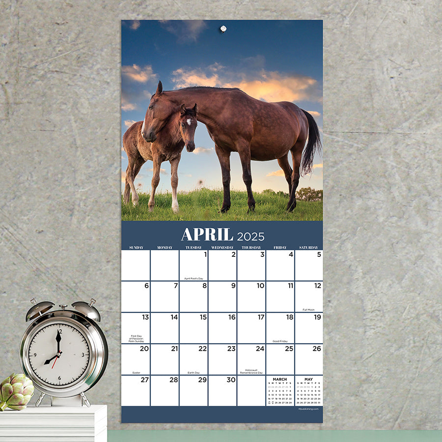 2025 Horses Mini Calendar TF Publishing Calendars + Planners Horse Desk Calendar 2025
