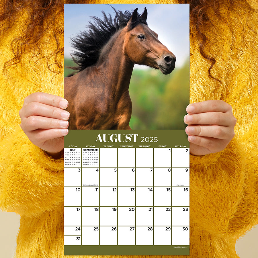 2025 Horses Mini Calendar | TF Publishing | Calendars + Planners - Journals + Stationery 2025-horses-mini-calendar-tf-publishing-calendars-planners-journals-stationery