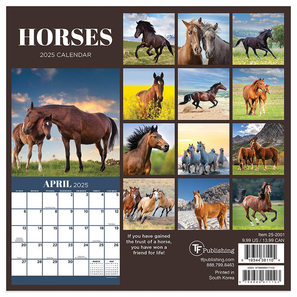 2025 Horses Mini Calendar TF Publishing Calendars + Planners Horse Desk Calendar 2025