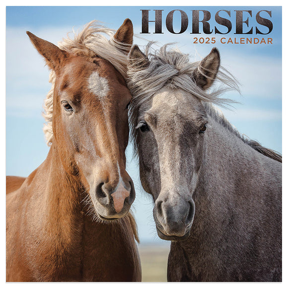 2025 Horses Mini Calendar TF Publishing Calendars + Planners Horse Desk Calendar 2025