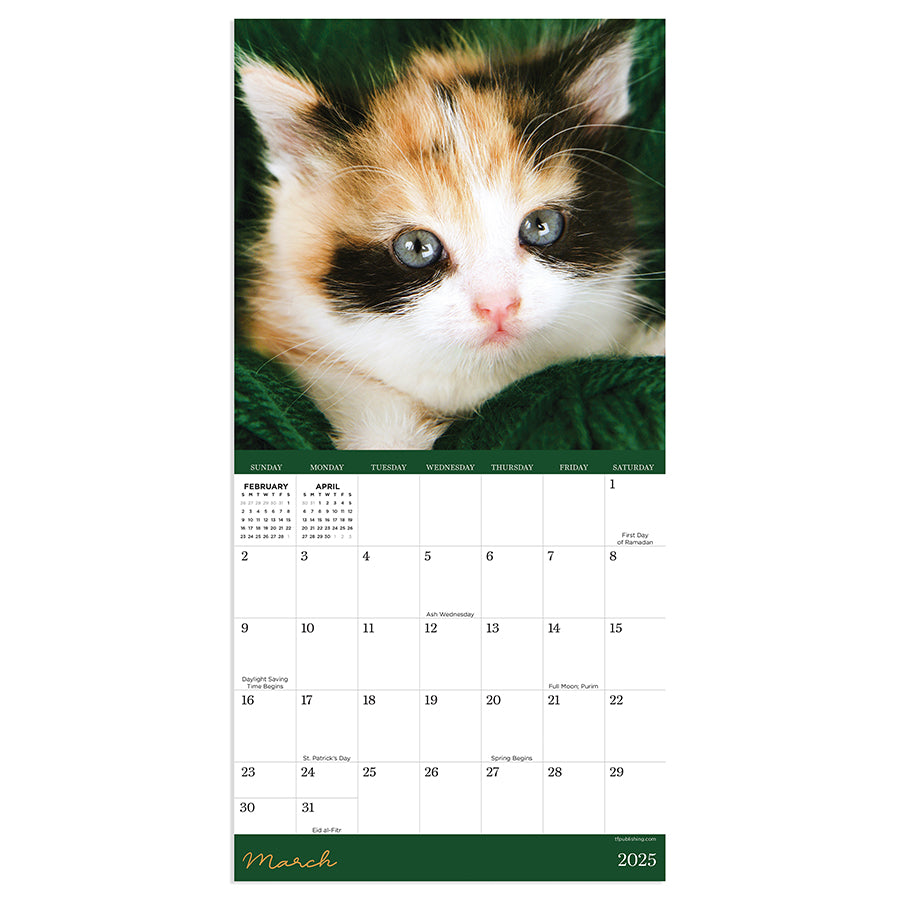 **FINAL SALE** 2025 Kittens Mini Calendar - 0
